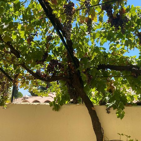 Mirabeau Evasion En Provence Bas De Villa Avec Jardin & Vignes, Soleil & Fraicheur מראה חיצוני תמונה